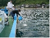 CIMG0170_sr_sr.jpg