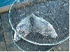 CIMG0172_sr.jpg