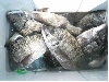 CIMG0177_sr.jpg