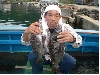 CIMG0178_sr.jpg