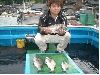 CIMG0182_sr.jpg