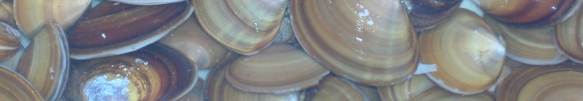 DSCN3166.JPG