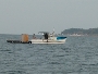 DSCN3170.JPG